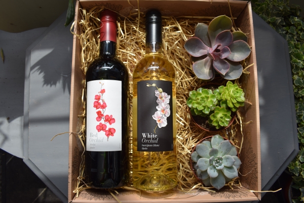 Succulent and Wine Gift Set