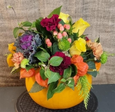 Autumnal Pumpkin Arrangement