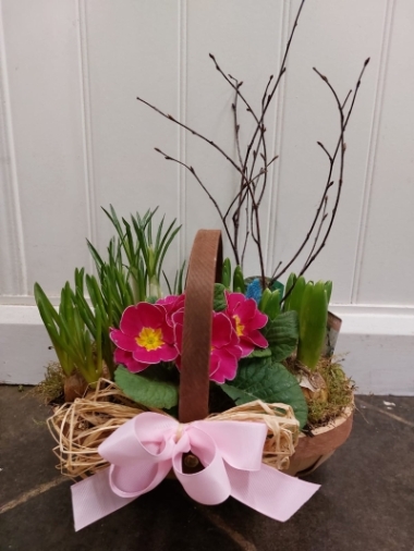 Spring Flowering Planted Arrangement